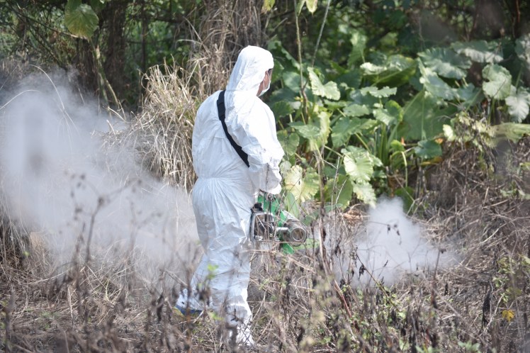 0328佐倉除草消毒_190328_0001.jpg