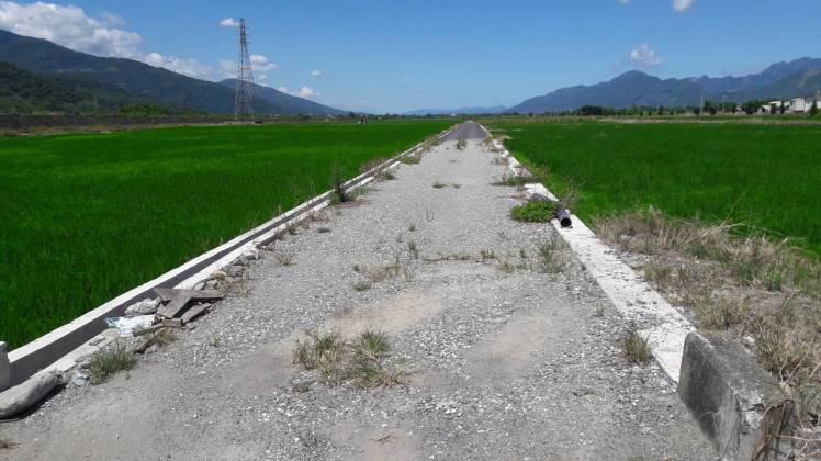 農田水路(1).jpg