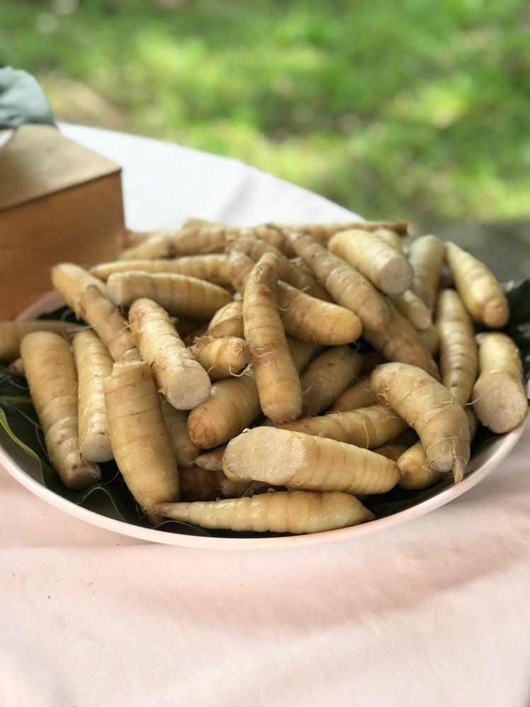 20190406葛鬱金節_190406_0033