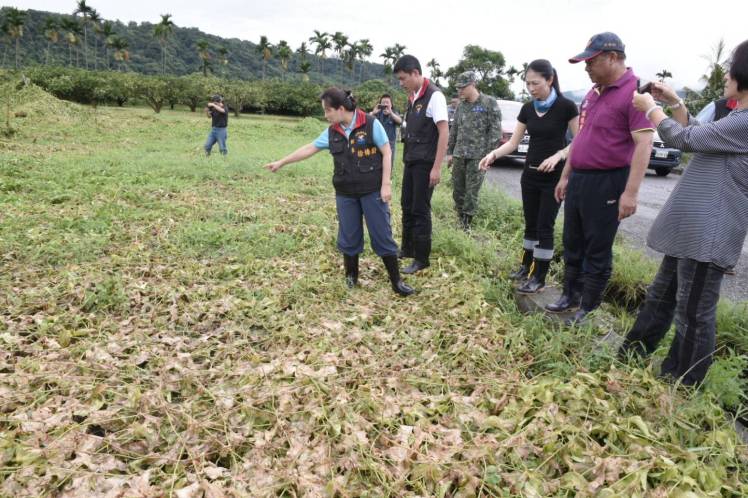瑞美村玉米田及百香果田.